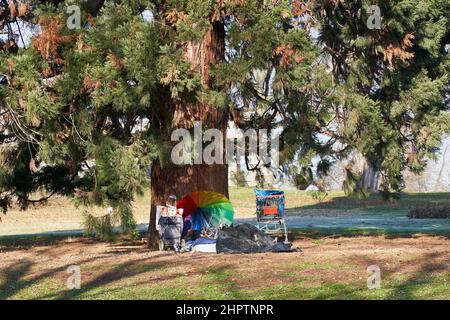 Accampamento di sonno da una persona senza tetto. Possesso di un povero uomo di fronte ad un albero di sequoia. Povertà in Germania. Foto Stock