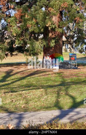 Accampamento di sonno da una persona senza tetto. Possesso di un povero uomo di fronte ad un albero di sequoia. Povertà in Germania. Foto Stock