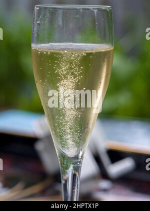 Un bicchiere di vino bianco frizzante: Le bollicine si innalzano in un flauto di vino bianco frizzante proveniente dalla regione della Loira in Francia. Foto Stock