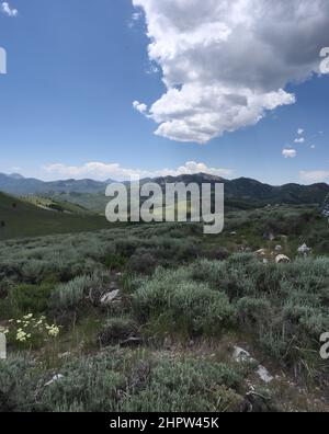 Immagine ritratto di una grande nuvola su una verde montagna estiva a Park City, Utah. Foto Stock