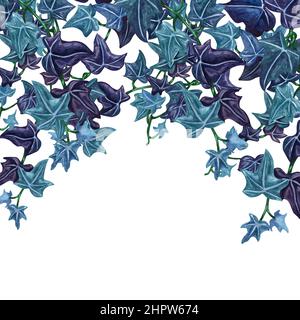 Acquerello illustrazione botanica edera. Edera verde dipinta a mano, sfondo bianco. Foto Stock