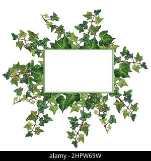 Cornice floreale da ramoscello di edera. Foglie di edera verde di corona dipinte a mano, invito al matrimonio, biglietto di auguri. Foto Stock