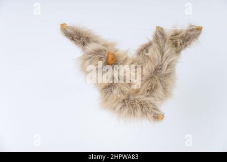 Animale ripieno Linnaeus's Sloth a due punte appeso ad una corda Foto Stock