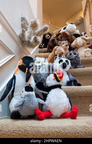 Animali imbalsamati camminando due per due lungo una scalinata con il loro amico Foto Stock