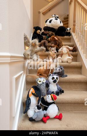 Animali imbalsamati camminando due per due lungo una scalinata con il loro amico Foto Stock