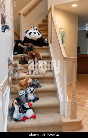 Animali imbalsamati camminando due per due lungo una scalinata con il loro amico Foto Stock