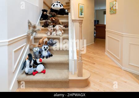 Animali imbalsamati camminando due per due lungo una scalinata con il loro amico Foto Stock