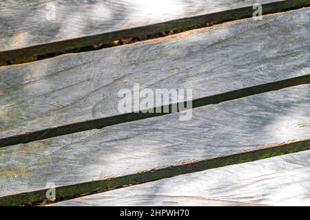 Struttura e modello di sentieri di legno a piedi e ponte presso la foresta tropicale naturale della giungla piante palme nel Parco Nazionale di Sian Ka'an a Muyil C. Foto Stock