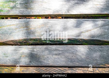 Struttura e modello di sentieri di legno a piedi e ponte presso la foresta tropicale naturale della giungla piante palme nel Parco Nazionale di Sian Ka'an a Muyil C. Foto Stock