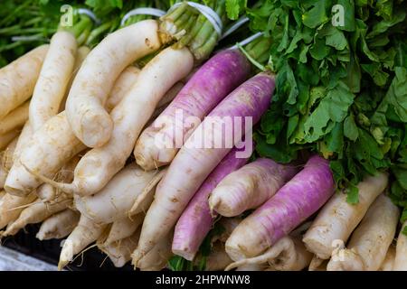 Rafano bianco esposto per la vendita al gregrocery Foto Stock