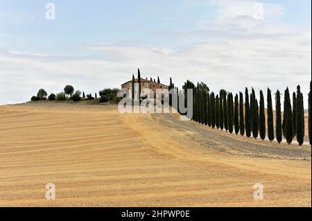 Viale Cypress con casale, a sud di Pienza, Toscana, Italia Foto Stock