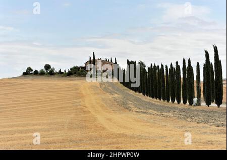 Viale Cypress con casale, a sud di Pienza, Toscana, Italia Foto Stock