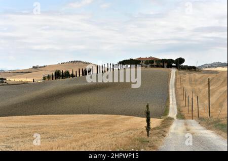 Viale Cypress con casale, a sud di Pienza, Toscana, Italia Foto Stock