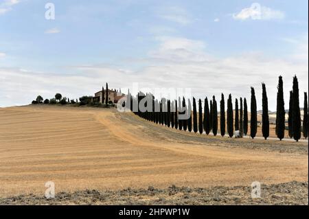 Viale Cypress con casale, a sud di Pienza, Toscana, Italia Foto Stock