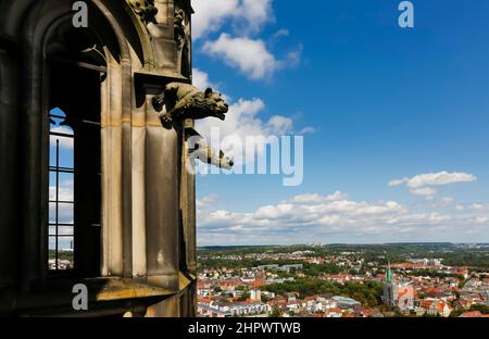 Cattedrale di Ulm, sulla torre ovest, mitica creatura in pietra, gargoyle, Ulm, Baden-Wuerttemberg, Germania Foto Stock