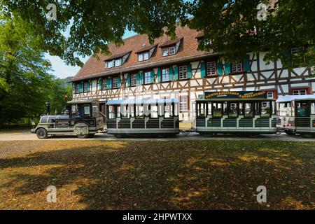 Blautopfbaehnle nel cortile del monastero, visita della città con Baehnle, Blaubeuren, Baden-Wuerttemberg, Germania Foto Stock