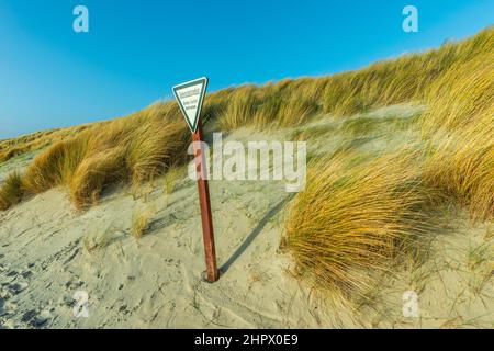 Area di conservazione delle dune, conservazione della natura, erba delle dune, duna, isola di alto mare Helgoland, distretto di Pinneberg, Schleswig-Holstein, Germania Foto Stock