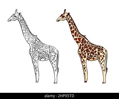 Illustrazione di un libro da colorare a colori e in bianco e nero. Disegno di una giraffa su sfondo bianco isolato. Illustrazione di alta qualità Foto Stock