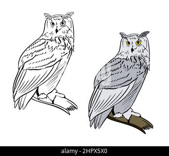Illustrazione di un libro da colorare a colori e in bianco e nero. Disegno di un gufo su sfondo bianco isolato. Illustrazione di alta qualità Foto Stock