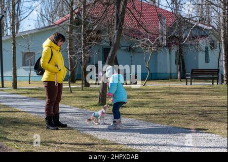 Una madre, con la figlia e il suo animale domestico, fare una passeggiata nel parco della città. La ragazza dà al cane Chihuahua un regalo dalla sua mano. È una sorgente soleggiata d Foto Stock