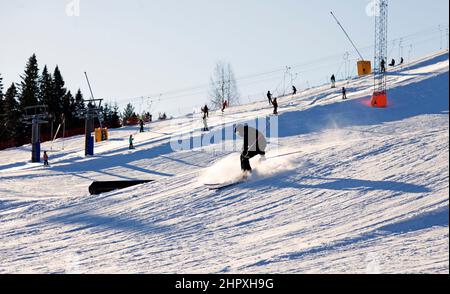 Umea, Norrland Svezia - 19 febbraio 2022: Uno sciatore a piena velocità in discesa Foto Stock