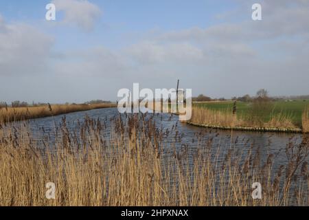 Paesaggio olandese polder con mulino a vento Menningweermolen a Schermer Ringvaart, Grootschermer, Paesi Bassi Foto Stock