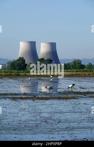 Italia, Piemonte, Trino, disuso centrale nucleare Foto Stock