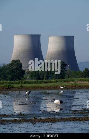 Italia, Piemonte, Trino, disuso centrale nucleare Foto Stock