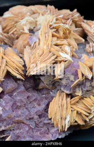 Italia, Sardegna, Flourite su Baryte Foto Stock