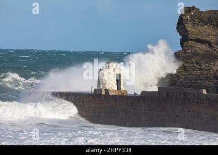 Portreath, Cornovaglia, 24th febbraio 2022, forti venti di 46mph con le docce di grandine ha causato grandi onde a Portreath, Cornovaglia questa mattina. La temperatura era di 7C ma con il fattore windchill si sentiva come 2C. Gli escursionisti di cani e le persone hanno ancora coraggiato una passeggiata lungo la spiaggia.Credit: Keith Larby/Alamy Live News Foto Stock