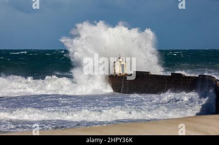 Portreath, Cornovaglia, 24th febbraio 2022, forti venti di 46mph con le docce di grandine ha causato grandi onde a Portreath, Cornovaglia questa mattina. La temperatura era di 7C ma con il fattore windchill si sentiva come 2C. Gli escursionisti di cani e le persone hanno ancora coraggiato una passeggiata lungo la spiaggia.Credit: Keith Larby/Alamy Live News Foto Stock