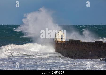 Portreath, Cornovaglia, 24th febbraio 2022, forti venti di 46mph con le docce di grandine ha causato grandi onde a Portreath, Cornovaglia questa mattina. La temperatura era di 7C ma con il fattore windchill si sentiva come 2C. Gli escursionisti di cani e le persone hanno ancora coraggiato una passeggiata lungo la spiaggia.Credit: Keith Larby/Alamy Live News Foto Stock