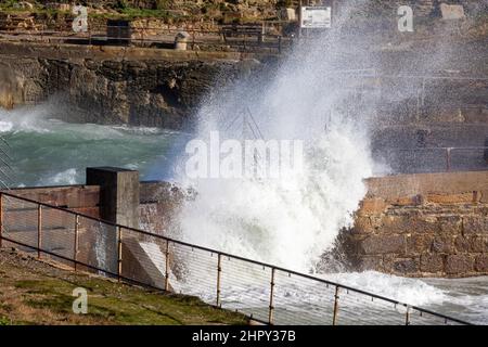 Portreath, Cornovaglia, 24th febbraio 2022, forti venti di 46mph con le docce di grandine ha causato grandi onde a Portreath, Cornovaglia questa mattina. La temperatura era di 7C ma con il fattore windchill si sentiva come 2C. Gli escursionisti di cani e le persone hanno ancora coraggiato una passeggiata lungo la spiaggia.Credit: Keith Larby/Alamy Live News Foto Stock