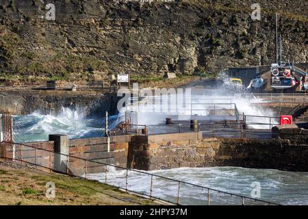 Portreath, Cornovaglia, 24th febbraio 2022, forti venti di 46mph con le docce di grandine ha causato grandi onde a Portreath, Cornovaglia questa mattina. La temperatura era di 7C ma con il fattore windchill si sentiva come 2C. Gli escursionisti di cani e le persone hanno ancora coraggiato una passeggiata lungo la spiaggia.Credit: Keith Larby/Alamy Live News Foto Stock