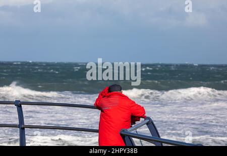 Portreath, Cornovaglia, 24th febbraio 2022, forti venti di 46mph con le docce di grandine ha causato grandi onde a Portreath, Cornovaglia questa mattina. La temperatura era di 7C ma con il fattore windchill si sentiva come 2C. Gli escursionisti di cani e le persone hanno ancora coraggiato una passeggiata lungo la spiaggia.Credit: Keith Larby/Alamy Live News Foto Stock