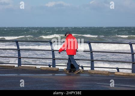 Portreath, Cornovaglia, 24th febbraio 2022, forti venti di 46mph con le docce di grandine ha causato grandi onde a Portreath, Cornovaglia questa mattina. La temperatura era di 7C ma con il fattore windchill si sentiva come 2C. Gli escursionisti di cani e le persone hanno ancora coraggiato una passeggiata lungo la spiaggia.Credit: Keith Larby/Alamy Live News Foto Stock