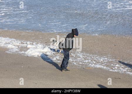 Portreath, Cornovaglia, 24th febbraio 2022, forti venti di 46mph con le docce di grandine ha causato grandi onde a Portreath, Cornovaglia questa mattina. La temperatura era di 7C ma con il fattore windchill si sentiva come 2C. Gli escursionisti di cani e le persone hanno ancora coraggiato una passeggiata lungo la spiaggia.Credit: Keith Larby/Alamy Live News Foto Stock