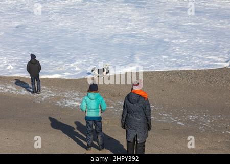 Portreath, Cornovaglia, 24th febbraio 2022, forti venti di 46mph con le docce di grandine ha causato grandi onde a Portreath, Cornovaglia questa mattina. La temperatura era di 7C ma con il fattore windchill si sentiva come 2C. Gli escursionisti di cani e le persone hanno ancora coraggiato una passeggiata lungo la spiaggia.Credit: Keith Larby/Alamy Live News Foto Stock