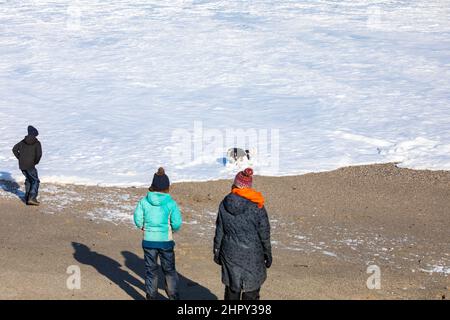 Portreath, Cornovaglia, 24th febbraio 2022, forti venti di 46mph con le docce di grandine ha causato grandi onde a Portreath, Cornovaglia questa mattina. La temperatura era di 7C ma con il fattore windchill si sentiva come 2C. Gli escursionisti di cani e le persone hanno ancora coraggiato una passeggiata lungo la spiaggia.Credit: Keith Larby/Alamy Live News Foto Stock