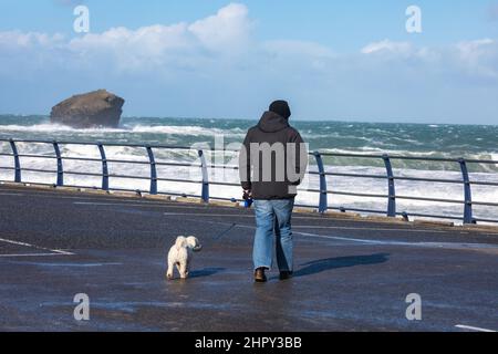 Portreath,Cornovaglia,24th Febbraio 2022,Un uomo cammina il suo cane attraverso il parcheggio come forti venti di 46mph con grandine ha causato grandi onde in Portreath,Cornovaglia questa mattina. La temperatura era di 7C ma con il fattore windchill si sentiva come 2C. .Credit: Keith Larby/Alamy Live News Foto Stock