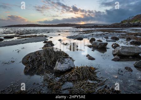 Rocce ricoperte di alghe al tramonto con la bassa marea, Rockcliffe, Dalbeattie, Dumfries e Galloway, Scozia, Regno Unito, Europa Foto Stock