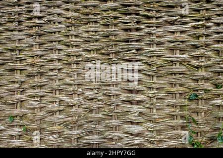 Una sezione di ben usurato salice scherma ostacolo Foto Stock