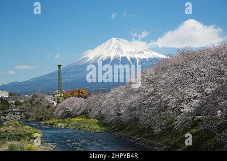 Vista panoramica del Monte Fuji in una giornata di sole, Giappone Foto Stock