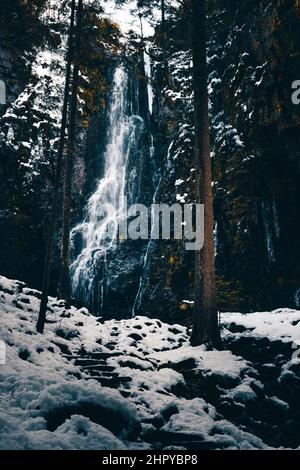 Colpo verticale della cascata di Burgbach nella Foresta Nera, in Germania, in inverno Foto Stock