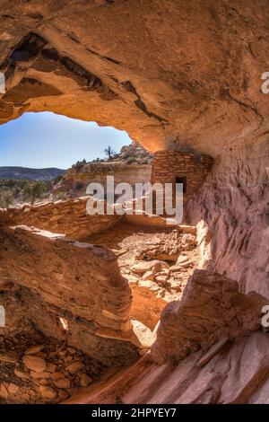 Il Beef Basin Wash Ruin è un'antica scogliera di Puebloan che dimora nel sud-est dello Utah. E 'stato abbandonato circa 800 anni fa. Foto Stock