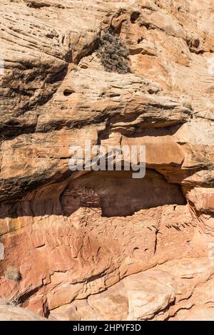 Il Beef Basin Wash Ruin è un'antica scogliera di Puebloan che dimora nel sud-est dello Utah. E 'stato abbandonato circa 800 anni fa. L'originale vibrazione di legno Foto Stock