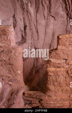 Il Beef Basin Wash Ruin è un'antica scogliera di Puebloan che dimora nel sud-est dello Utah. E 'stato abbandonato circa 800 anni fa. Foto Stock