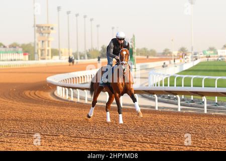 Riyadh, Stati Uniti. 24th Feb 2022. 24 febbraio 2022: MANDALOUN Esercizi in preparazione all'ippodromo di King Abdulaziz a Riyadh, Arabia Saudita, il 24th febbraio 2022. Shamela Hanley/Eclipse Sportswire/CSM/Alamy Live News Foto Stock