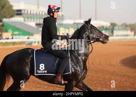 Riyadh, Stati Uniti. 24th Feb 2022. 24 febbraio 2022: ESERCIZI DI POGO in preparazione all'ippodromo di King Abdulaziz a Riyadh, Arabia Saudita, il 24th febbraio 2022. Shamela Hanley/Eclipse Sportswire/CSM/Alamy Live News Foto Stock