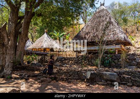 Granai di riso Lumbung sull'isola di Alor in Indonesia, Alor Regency Foto Stock